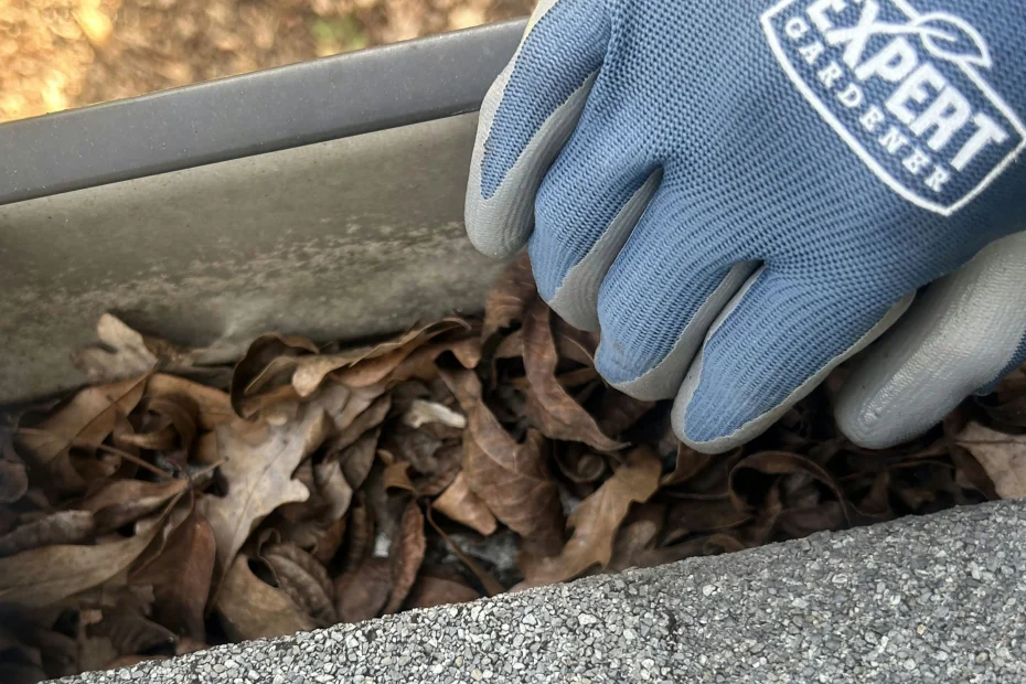 Gutter Cleaning Lake Mary FL