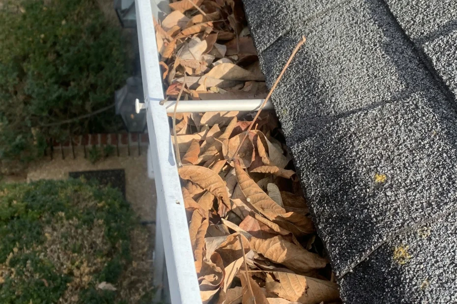 Gutter Cleaning Lake Mary FL