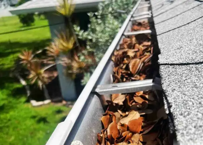 Gutter Cleaning Lake Mary FL home page